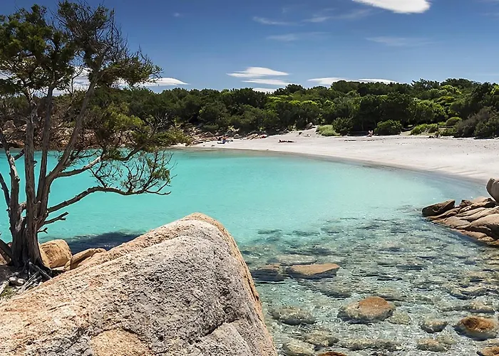 Gasthof La Stampa Olbia